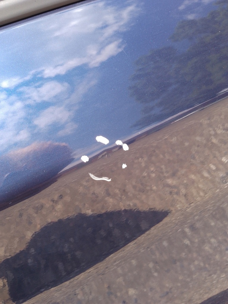 фото №8, Дверь левая задние bmw f20 a76 tiefseeblau