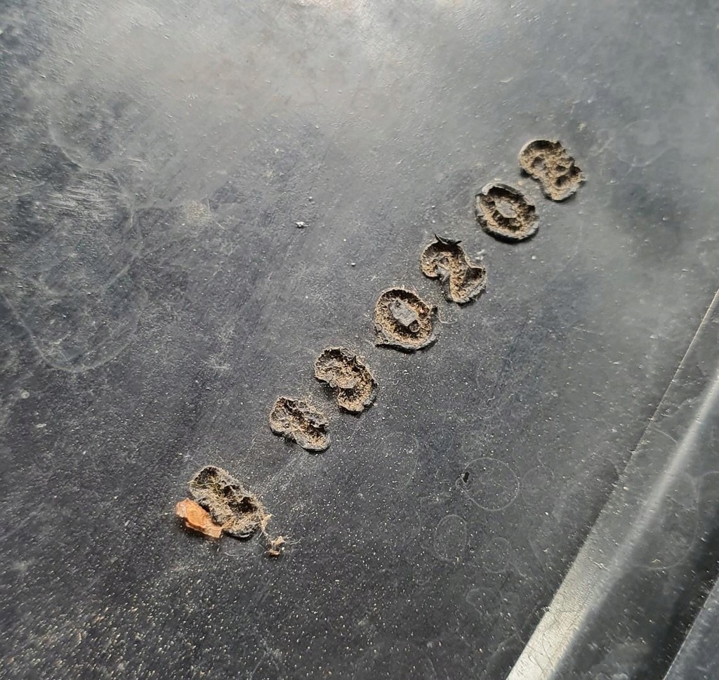 фото №6, Лампа правая задняя задняя volvo c70 i cabrio europa