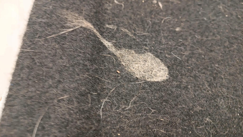 фото №8, Полка задняя задняя багажника peugeot 307 hb 5 3 дверь