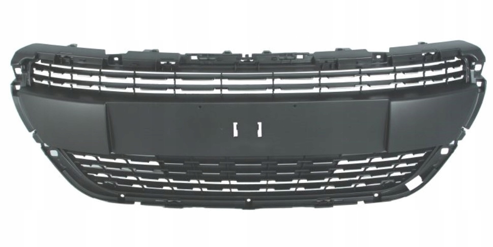 фото №1, Решітка радіатора 208, 04.12- 57b10521