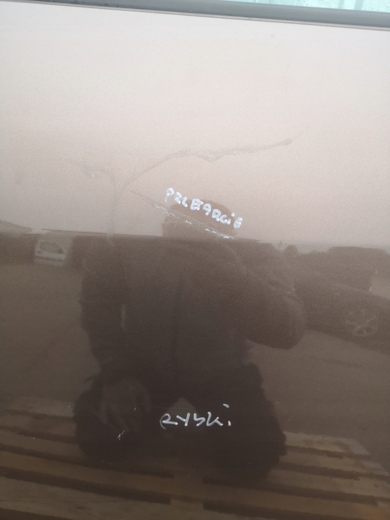 фото №6, Дверь левая задние renault grand scenic iii оригинал лак tecnb