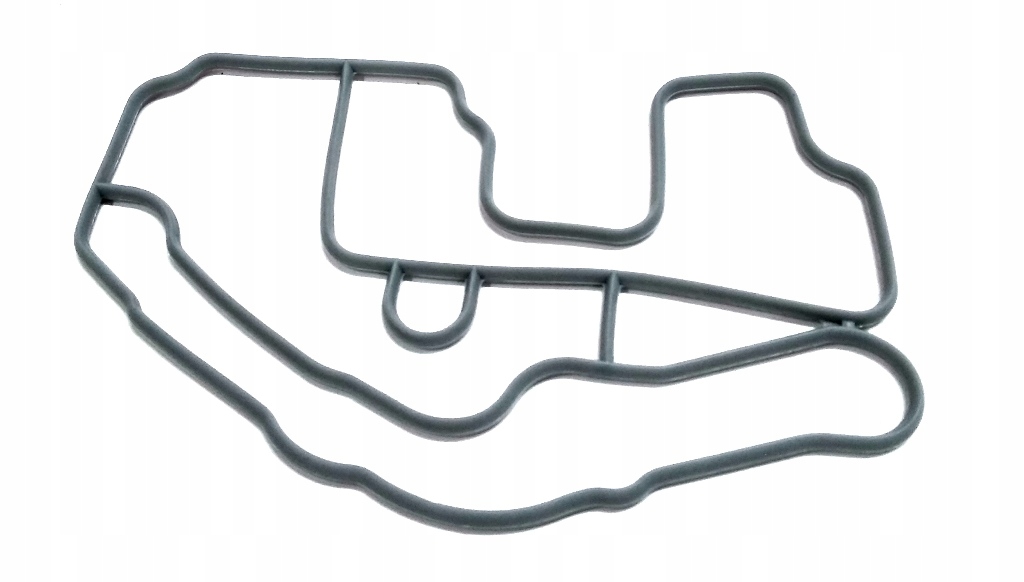 фото №1, Dr.motor drm0244 прокладка, корпус термостата