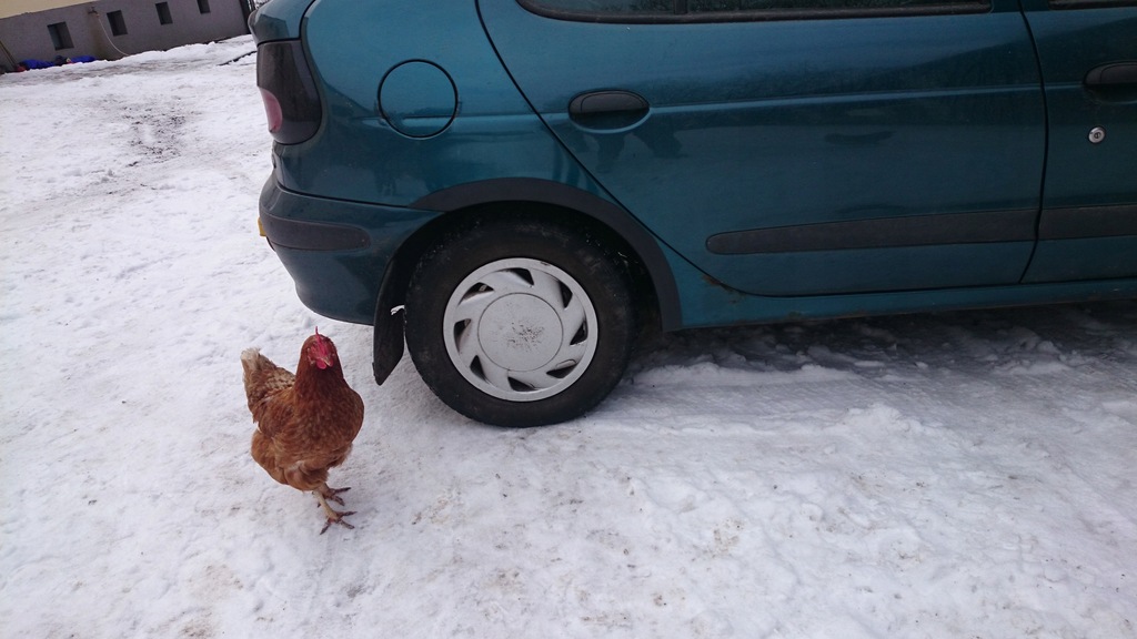 фото №8, Накладки крыла крыльев renault megane i