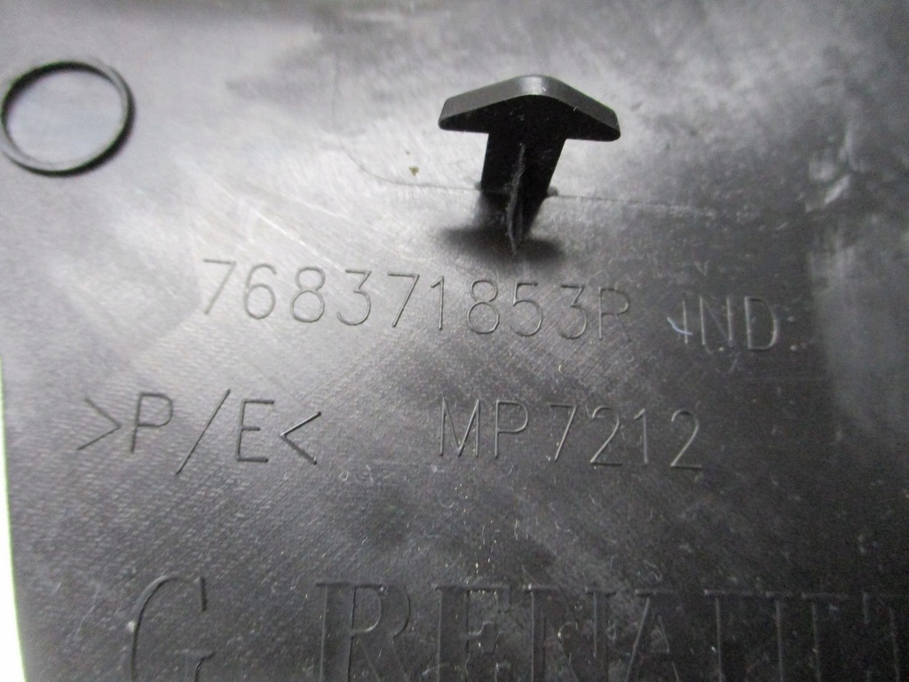 фото №4, Захист поріг renault scenic iv