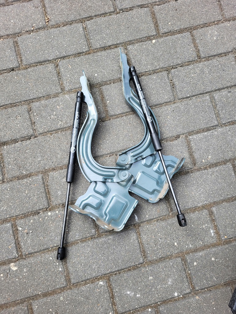 фото №1, Петлі капот niro ii cge комплект 2 штуки