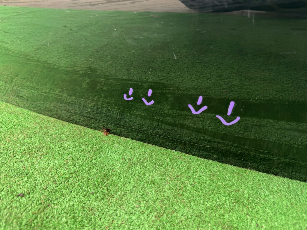 фото №15, Ford mustang mach-e крышка багажника багажника