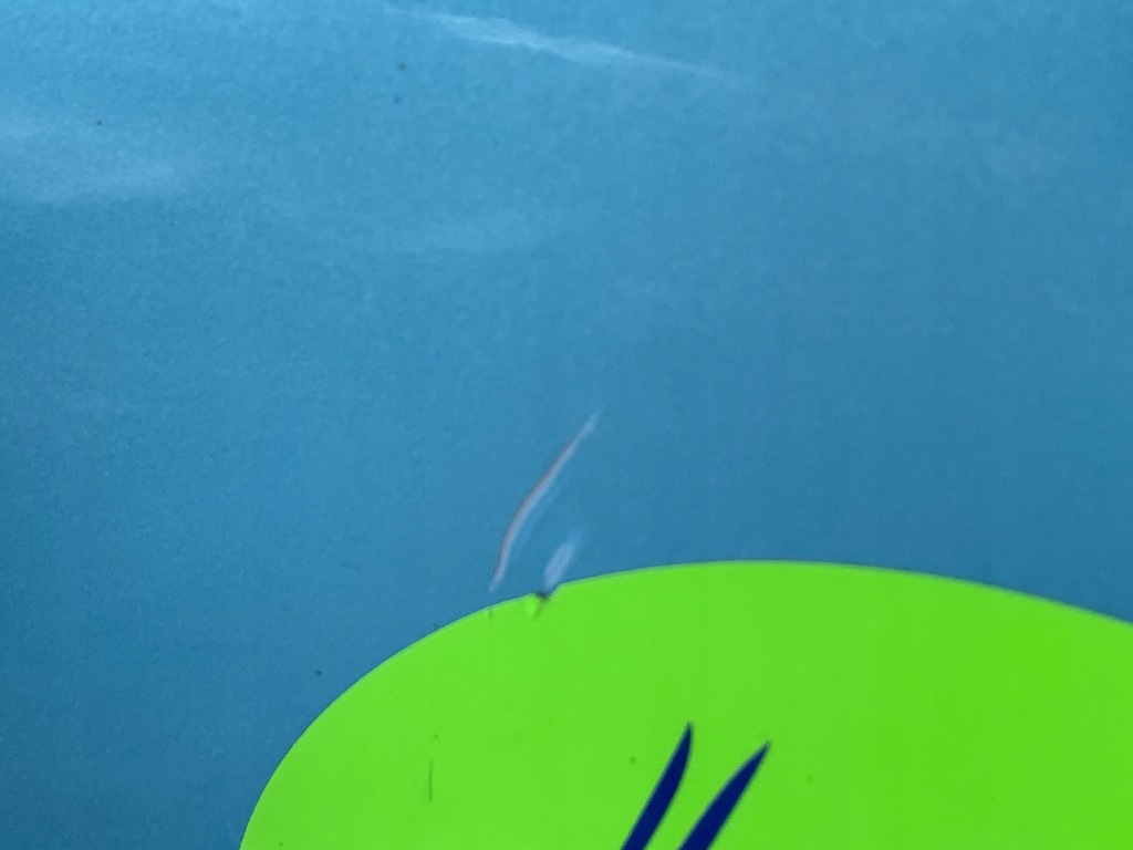 фото №7, Дверь левая перед передние renault zoe