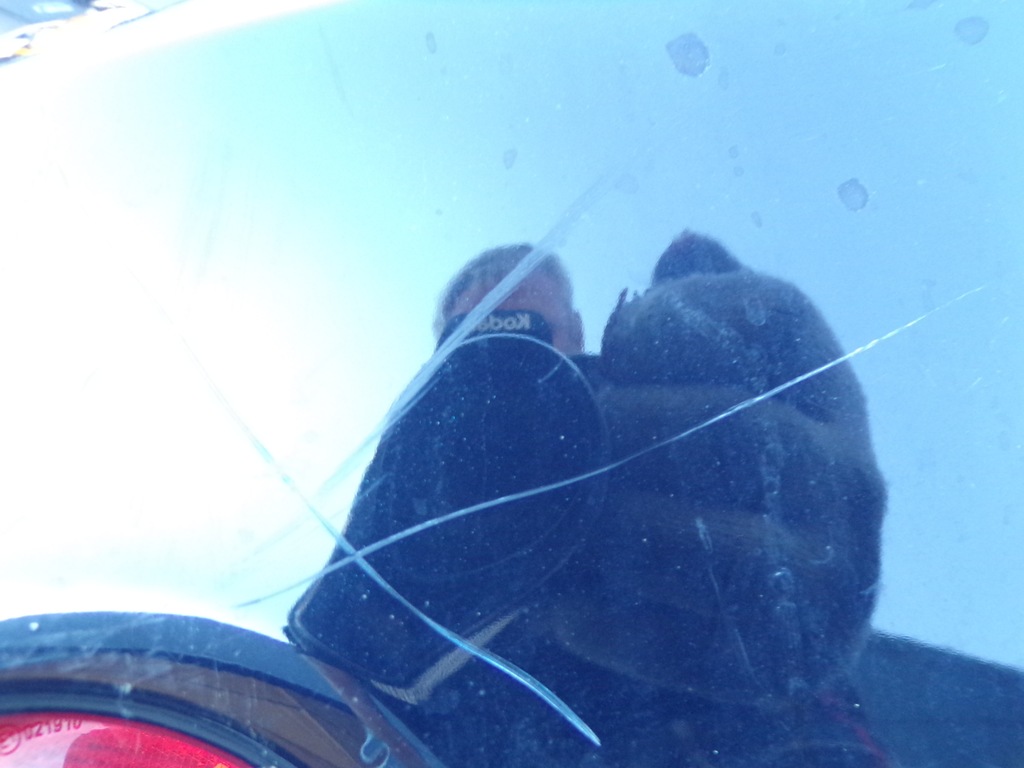 фото №10, Бампер задній задня ford fiesta 6 vi колір jb3 1