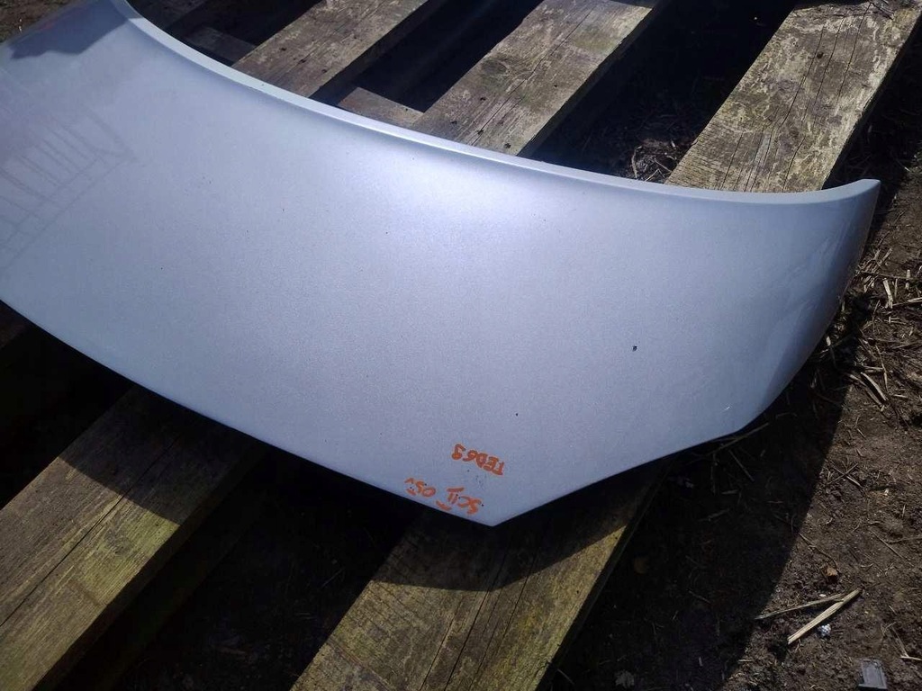 фото №5, Капот ted69 renault scenic ii