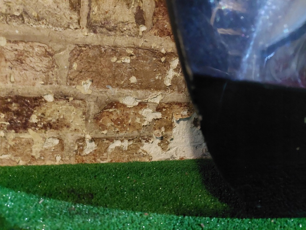 фото №12, Двері перед праве audi a5 8t 07/11 cabrio/coupe