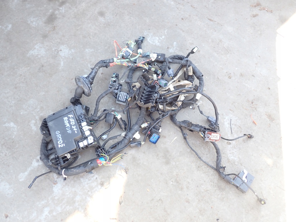 фото №1, Джгут електропроводка перегородка відсік двигуна ford f150 raptor 2024 lift