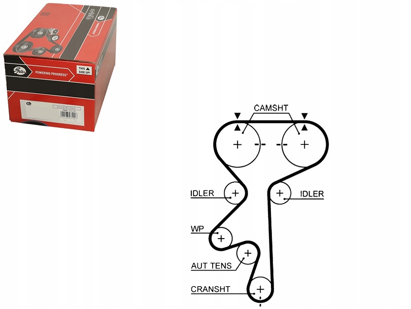 фото №1, Gates 5461xs ремінь розподільного валу