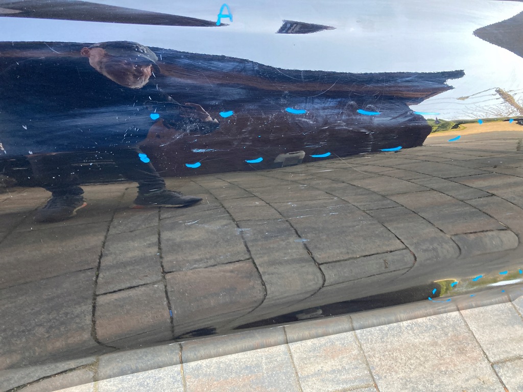 фото №11, Tesla 3 двері ліва передні orygi.