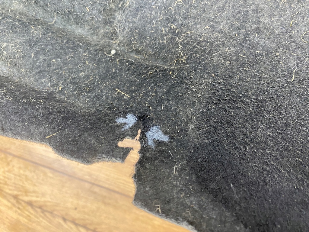 фото №13, Подкрылок левая перед передние chevrolet camaro 2016+ usa