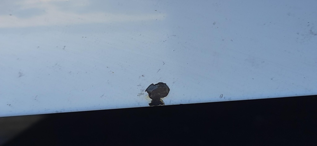 Капот крышка двигателя рестайлинг  podpitka шумоизоляция renault master 3 dqng в Украине