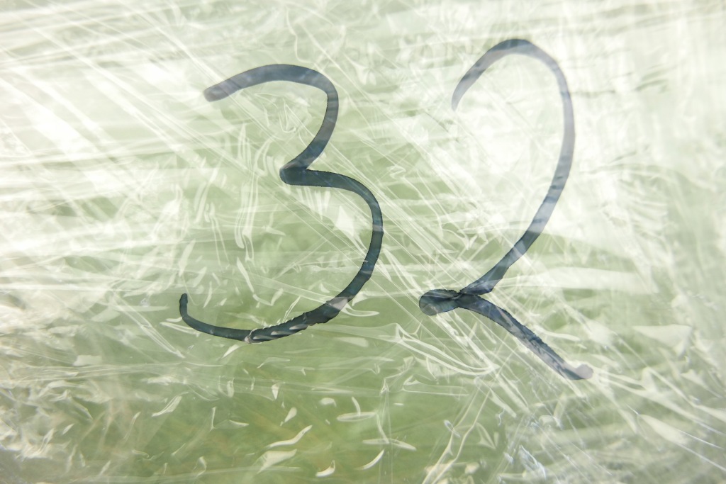 фото №5, Toyota оригинальный номер 68124-48050