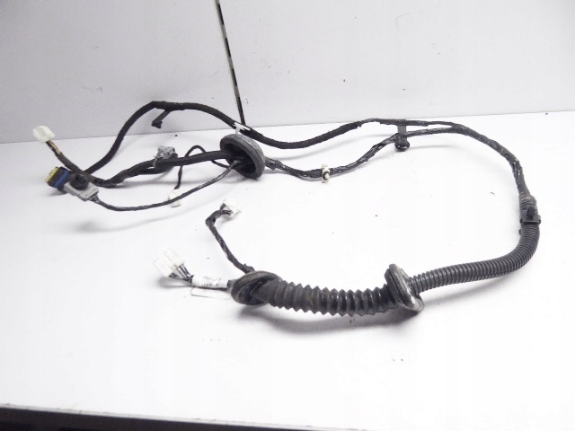 фото №1, Qashqai j10 джгут двері перед права 24125-jd05e