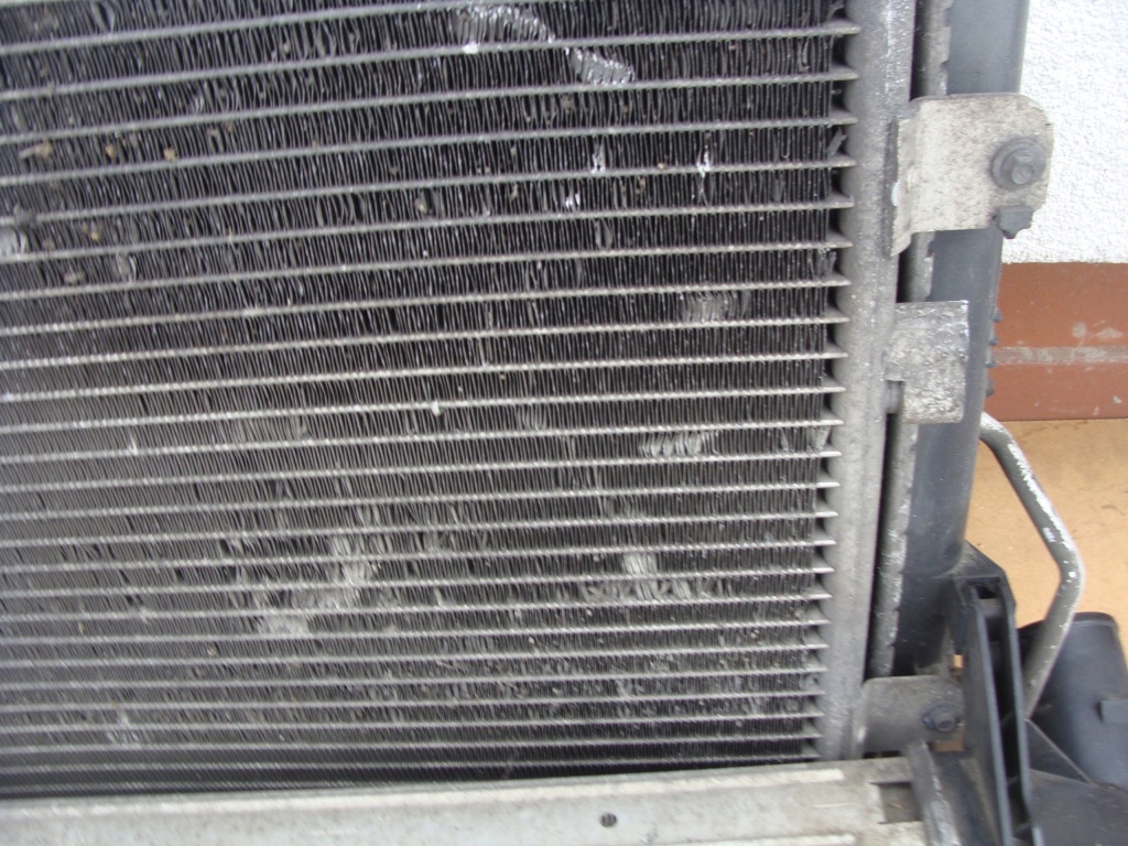 Ремень передний вентилятор радиатор воды кондиционера dacia logan 1 fl 1.5 dci Киев