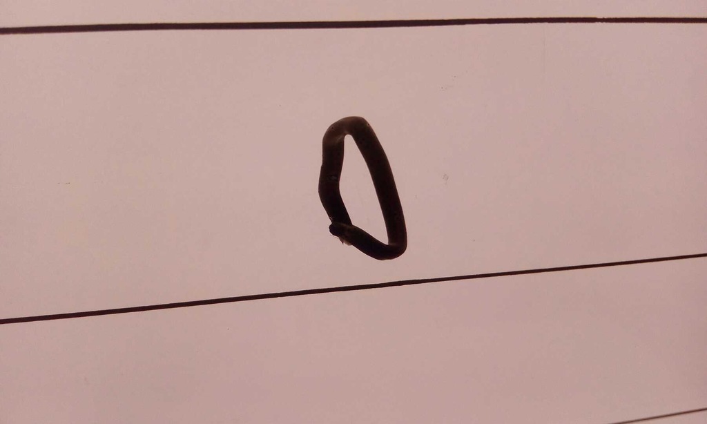 фото №5, Стекло задняя задняя peugeot 405 kombi1987-1996 подогрев коричневая оригинальная nowa