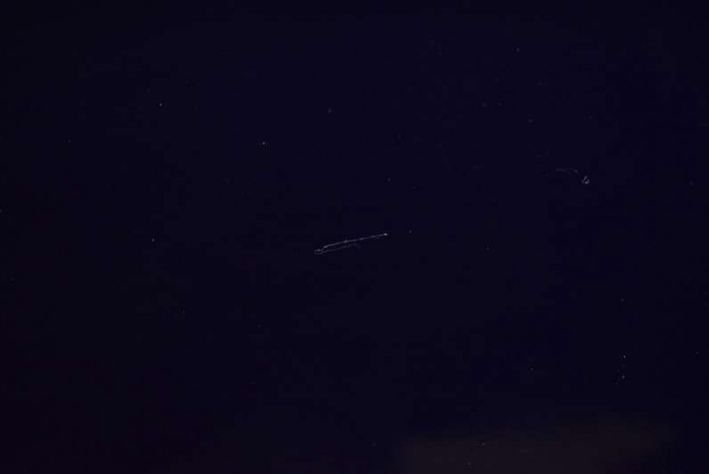 фото №6, Дверь левая перед передние granatowe fiat bravo 2 ii 5d 07-11