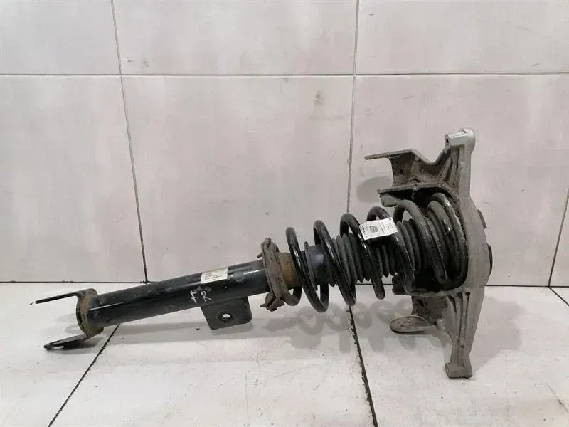 фото №1, Амортизатор передній tesla 1044369