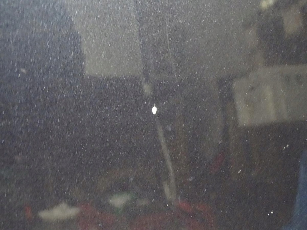 фото №15, Капот кришка двигуна + шумоізоляція audi a6 c6 2004-2008