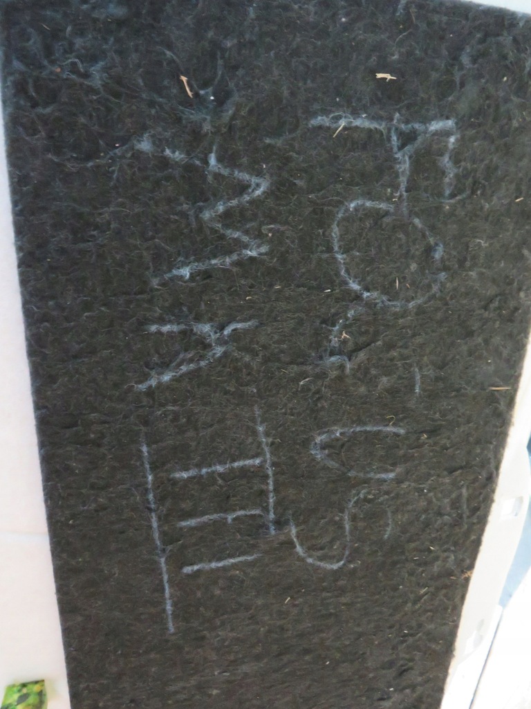 фото №7, Ford focus mk3 hb потолок