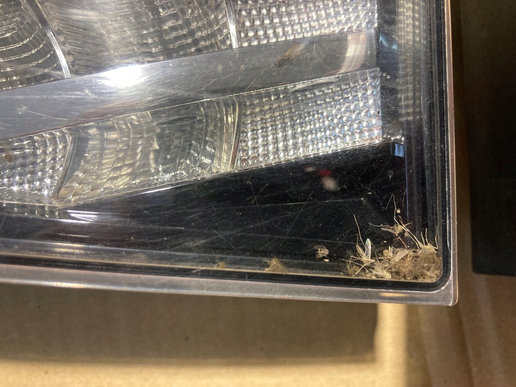 фото №6, Лампа правая задняя w крыло крышка skoda kodiaq 565945208a