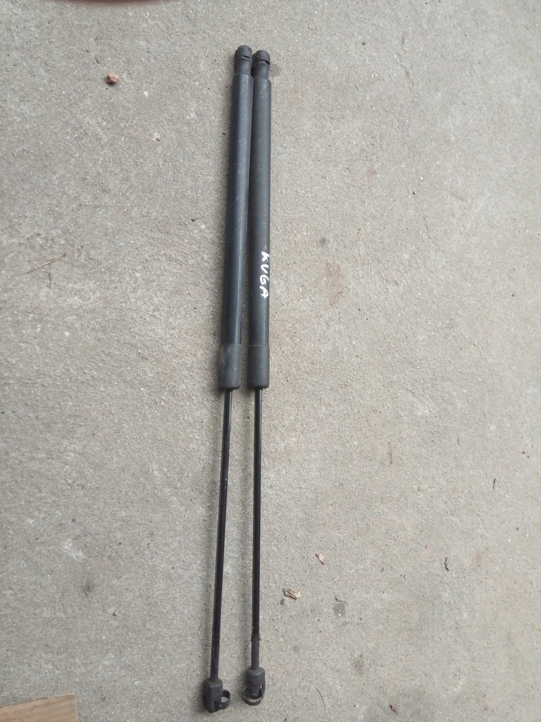 фото №1, Амортизаторы задний крышки ford kuga mk1