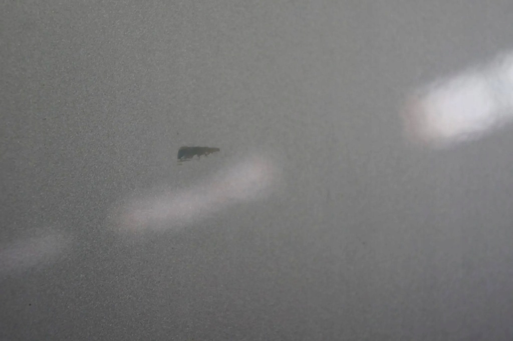 фото №8, Дверь правый задняя задние jeep compass i lift серебристый