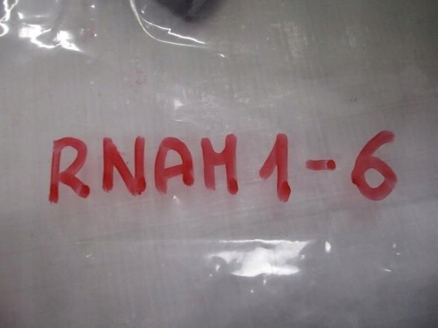 фото №14, Peugeot expert iii жабо нижні