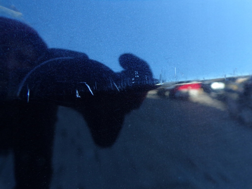 фото №7, Дверь правое передние seat leon 2 ii цвет lc9z