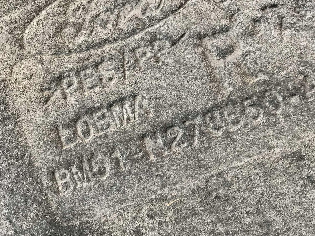 фото №8, Ford focus mk3 підкрилок правий задня bm51n278b50ab