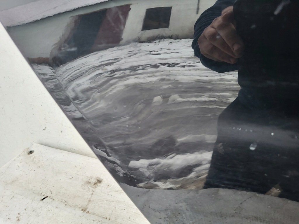 фото №9, Двері правий задня audi a8 4h long