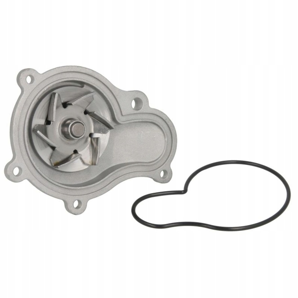 фото №1, Насос wody thermotec d1y001tt