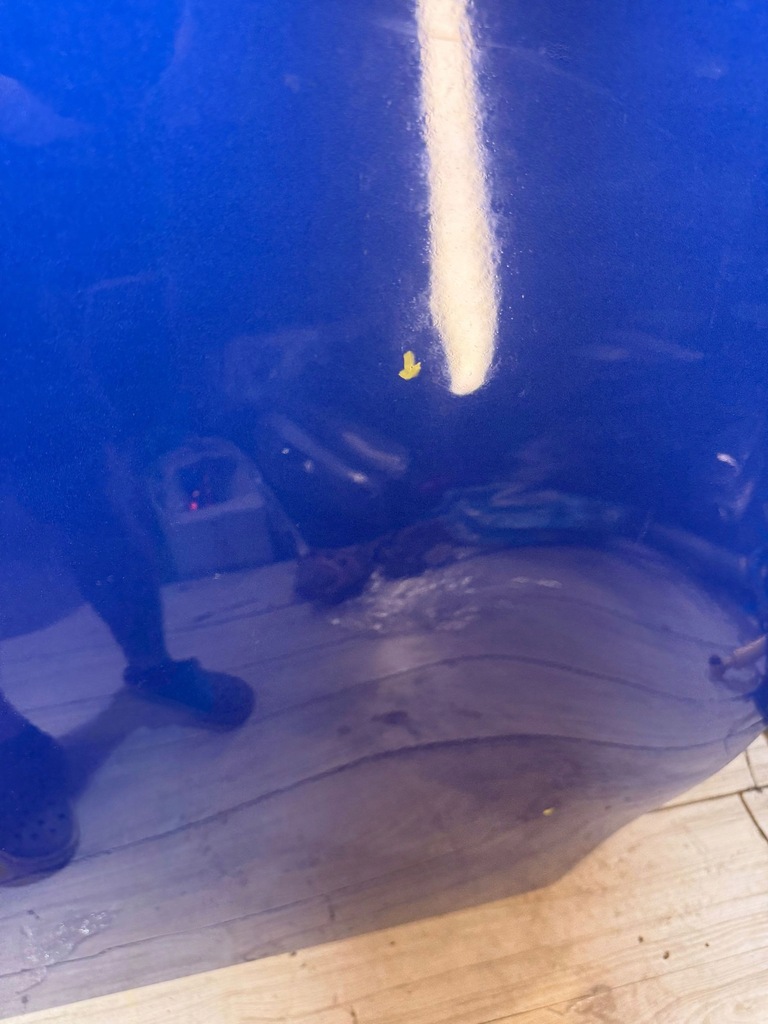 фото №6, Subaru brz кришка передня / капот двигуна