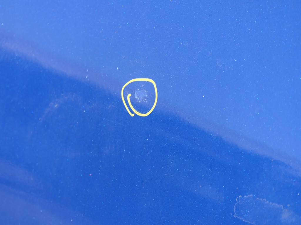 фото №13, Двері перед правий передній правий terna renault scenic iii 3 короткий grand