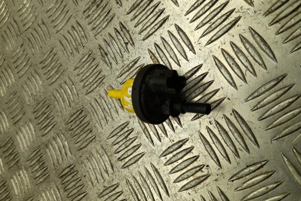 фото №1, Насос вакуумний dacia sandero 149304569r 2022