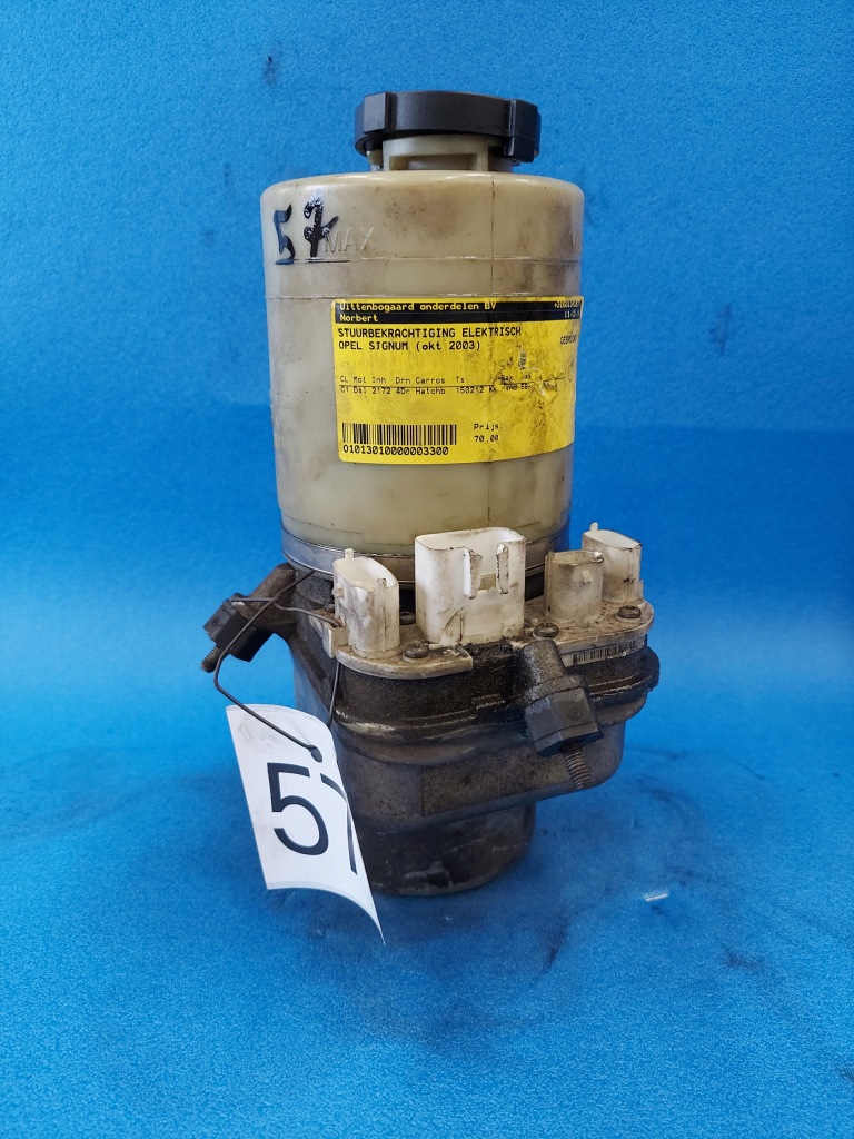 фото №1, Насос підсилювача signum trw