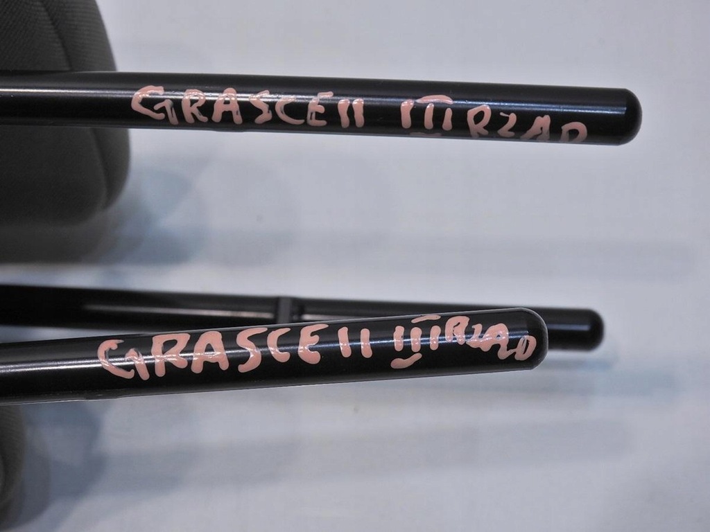 фото №5, Подголовник задний задняя iii ряд grand scenic ii