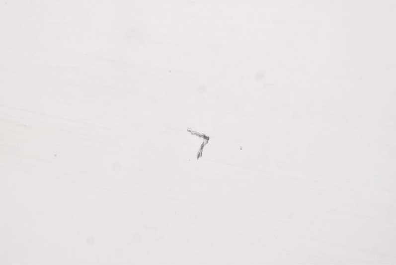 фото №5, Двері бічний зсувні праве білий citroen nemo 08-15