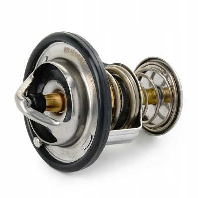 фото №3, Термостат ridex 316t0236