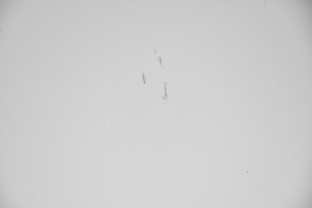 фото №5, Капот кришка двигуна opel insignia a