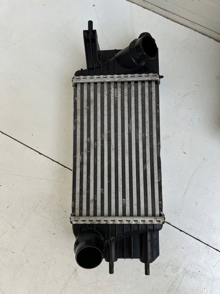 фото №9, Pas передний радиатор nissan juke i lift f15