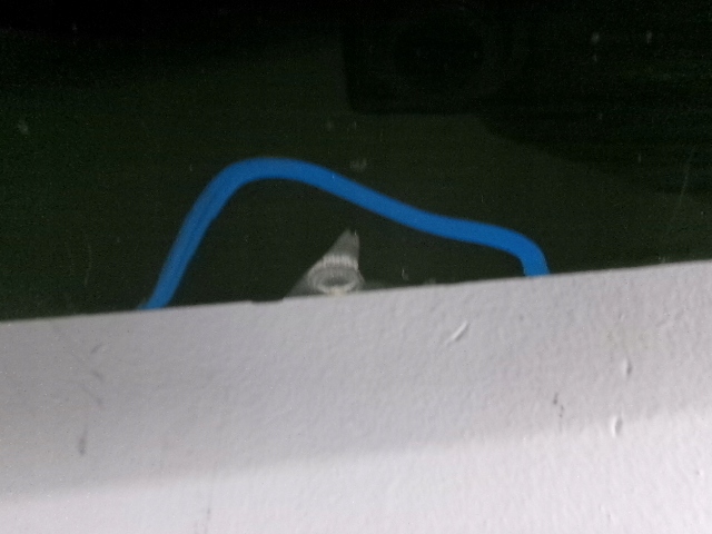 фото №12, Citroen c4 cactus двері ліва передні exlb