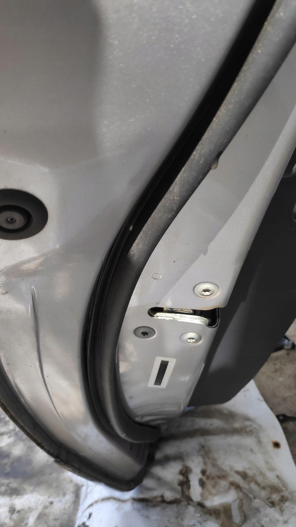 фото №10, Дверь левый задняя tekxa koleos i