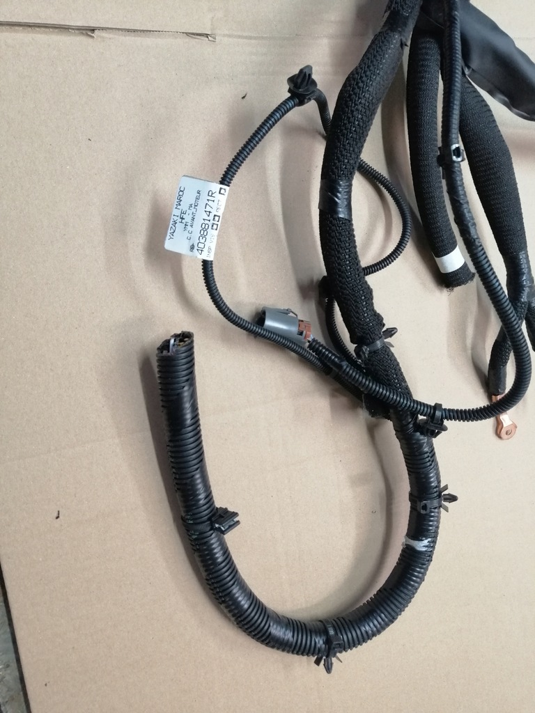 фото №4, Джгут двигуна renault kadjar 2020 rok