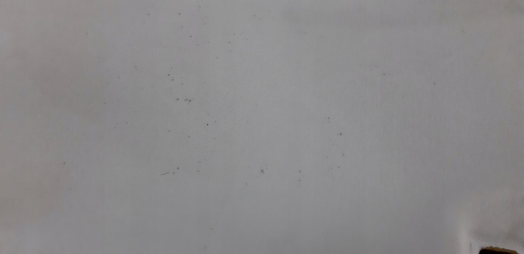 фото №12, C-klasa w203 стеля sedan