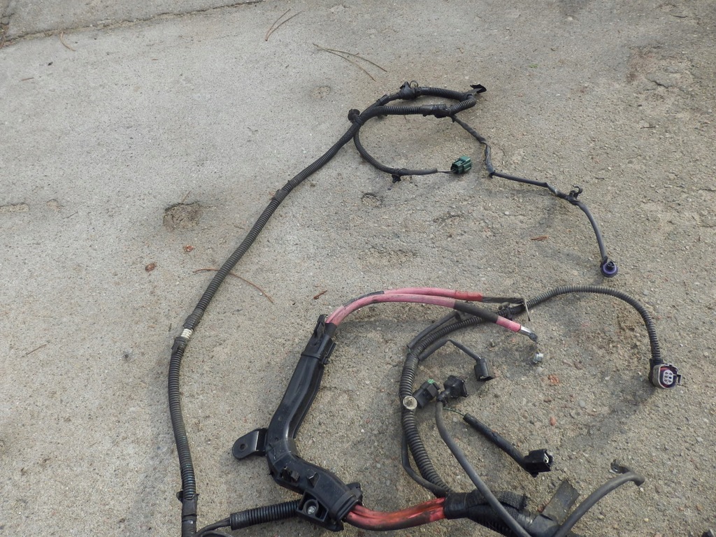 фото №6, Renault scenic iii 1.5 джгут електропроводка двигуна