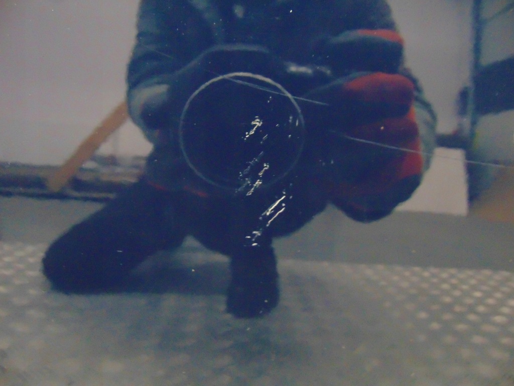 фото №3, Ford fiesta mk7 двері ліва 3d 08-